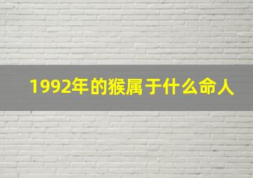 1992年的猴属于什么命人