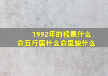 1992年的猴是什么命五行属什么命里缺什么