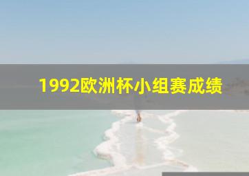 1992欧洲杯小组赛成绩