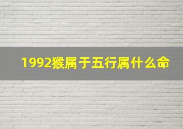 1992猴属于五行属什么命