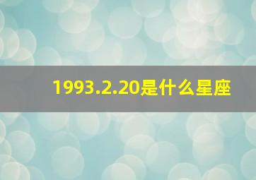 1993.2.20是什么星座