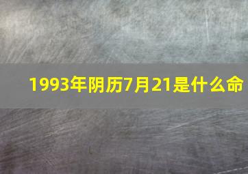 1993年阴历7月21是什么命