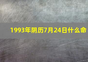 1993年阴历7月24日什么命