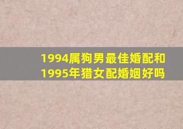 1994属狗男最佳婚配和1995年猎女配婚姻好吗