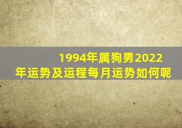 1994年属狗男2022年运势及运程每月运势如何呢