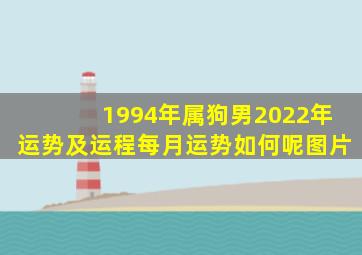 1994年属狗男2022年运势及运程每月运势如何呢图片