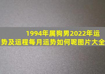 1994年属狗男2022年运势及运程每月运势如何呢图片大全