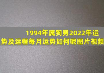 1994年属狗男2022年运势及运程每月运势如何呢图片视频