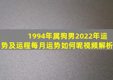 1994年属狗男2022年运势及运程每月运势如何呢视频解析