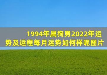 1994年属狗男2022年运势及运程每月运势如何样呢图片