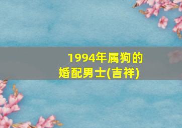 1994年属狗的婚配男士(吉祥)