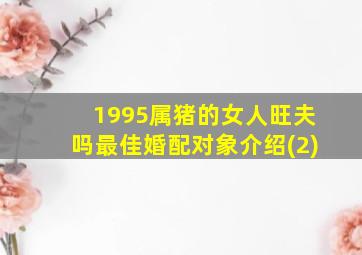 1995属猪的女人旺夫吗最佳婚配对象介绍(2)