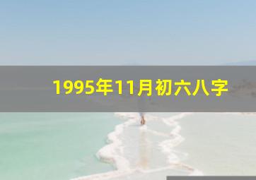 1995年11月初六八字