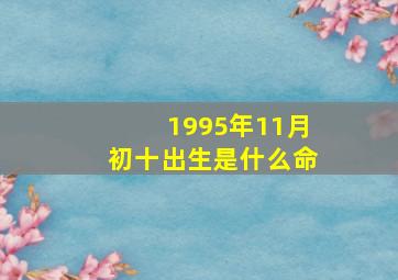 1995年11月初十出生是什么命