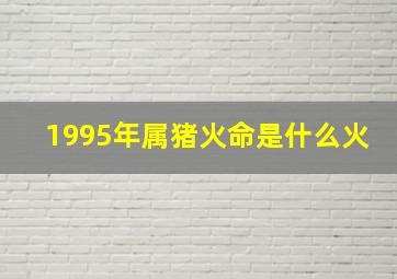 1995年属猪火命是什么火