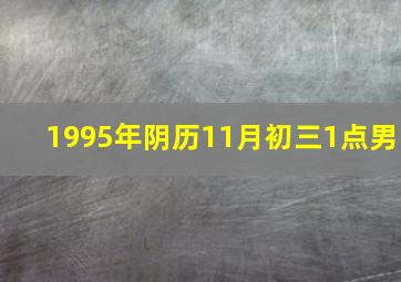 1995年阴历11月初三1点男