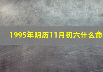 1995年阴历11月初六什么命