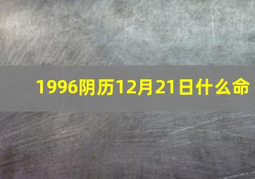 1996阴历12月21日什么命