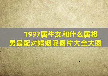 1997属牛女和什么属相男最配对婚姻呢图片大全大图