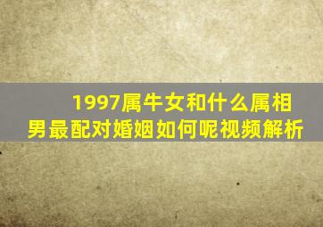 1997属牛女和什么属相男最配对婚姻如何呢视频解析