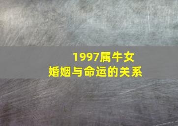 1997属牛女婚姻与命运的关系