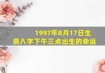 1997年8月17日生辰八字下午三点出生的命运