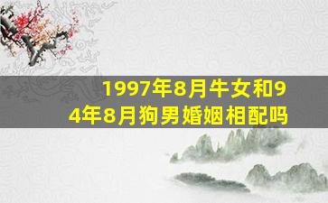 1997年8月牛女和94年8月狗男婚姻相配吗