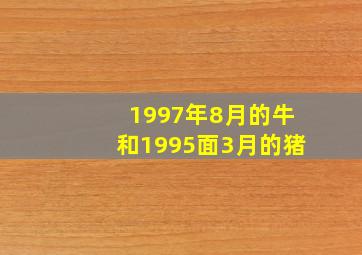 1997年8月的牛和1995面3月的猪