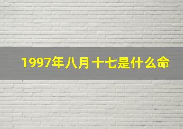 1997年八月十七是什么命