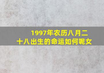 1997年农历八月二十八出生的命运如何呢女