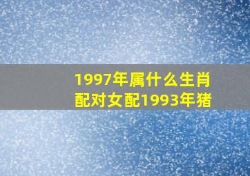 1997年属什么生肖配对女配1993年猪