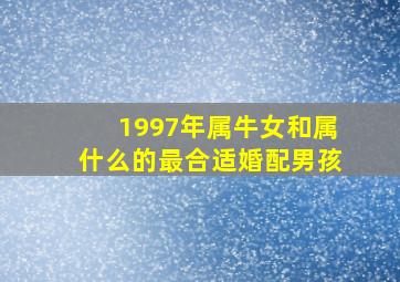 1997年属牛女和属什么的最合适婚配男孩