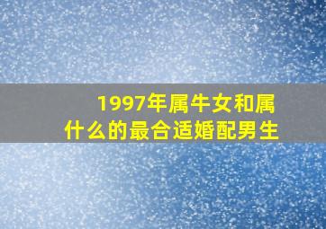 1997年属牛女和属什么的最合适婚配男生