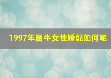 1997年属牛女性婚配如何呢