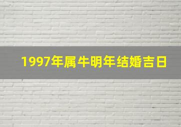 1997年属牛明年结婚吉日