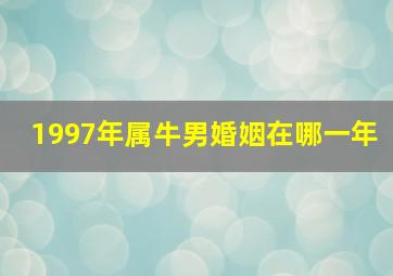 1997年属牛男婚姻在哪一年