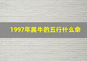 1997年属牛的五行什么命