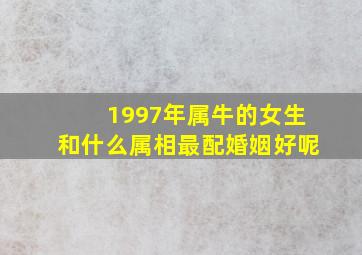 1997年属牛的女生和什么属相最配婚姻好呢