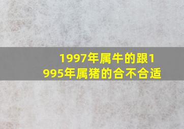 1997年属牛的跟1995年属猪的合不合适