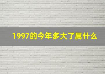 1997的今年多大了属什么