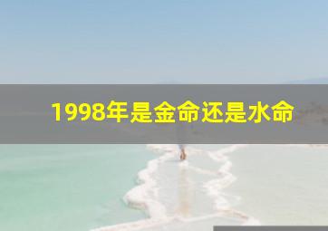 1998年是金命还是水命