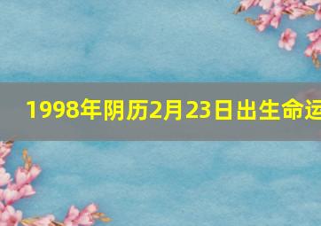 1998年阴历2月23日出生命运