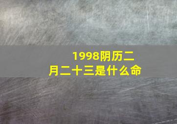 1998阴历二月二十三是什么命