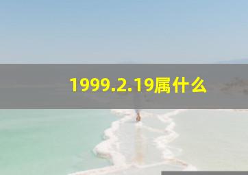 1999.2.19属什么