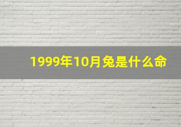 1999年10月兔是什么命