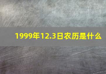 1999年12.3日农历是什么