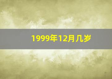 1999年12月几岁