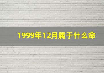 1999年12月属于什么命