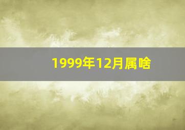 1999年12月属啥