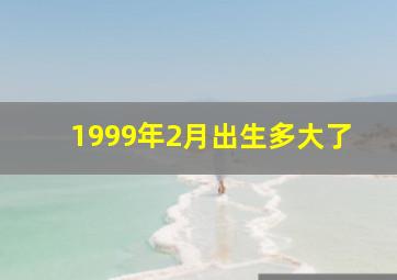 1999年2月出生多大了